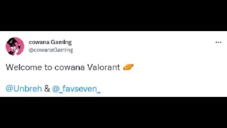 Cowana Gaming contratou dois jogadores em Valorant