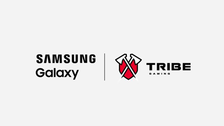 Samsung torna-se um parceiro Tribe Gaming