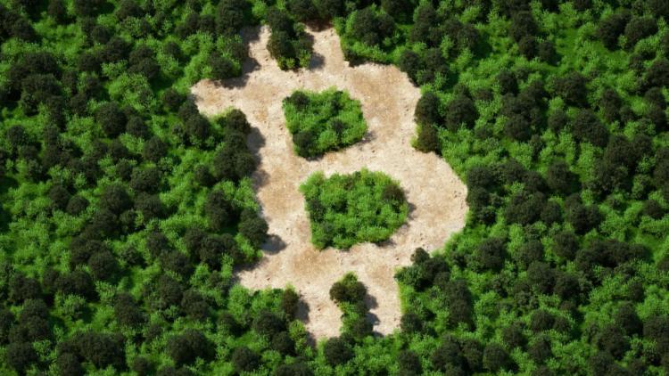 Nos EUA, eles vão estudar o impacto da mineração de bitcoin no meio ambiente