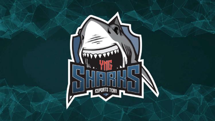 Rumores: rdnzao se tornará um novo jogador Sharks Esports