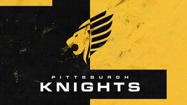 Zineel tornou-se um novo jogador Knights, substituindo ZPS