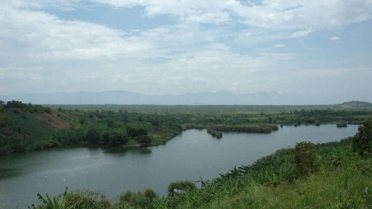 O Parque Nacional do Congo luta contra a escassez de dinheiro por meio da mineração BTC