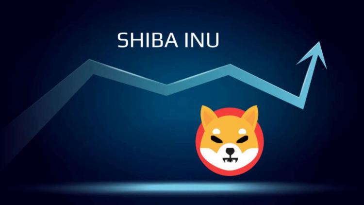 Acumulação de memes - Baleias compraram 2.500.000.000.000 Shiba Inu por dia