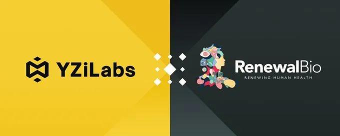 YZi Labs investe na Renewal Bio: Um passo revolucionário na medicina regenerativa para superar a escassez de órgãos