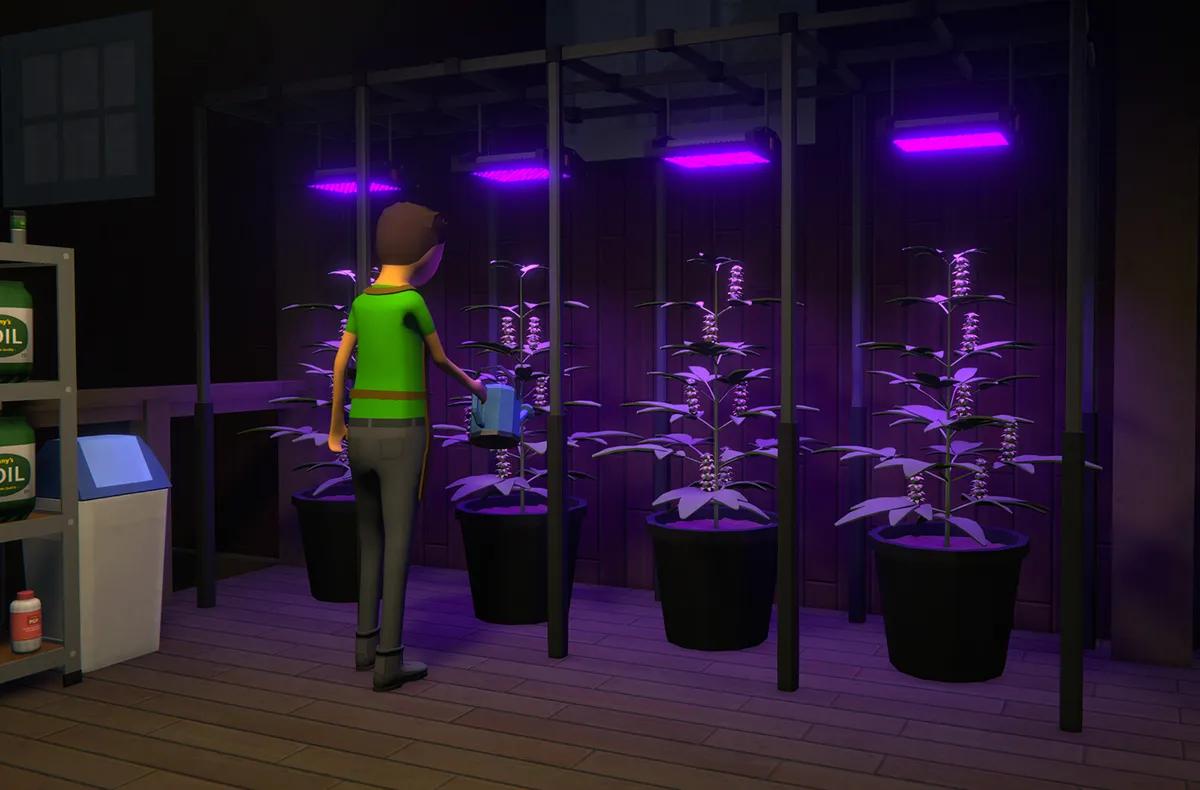 Temores em relação ao vapor levaram o criador do Schedule 1 a considerar uma mudança completa para a agricultura.