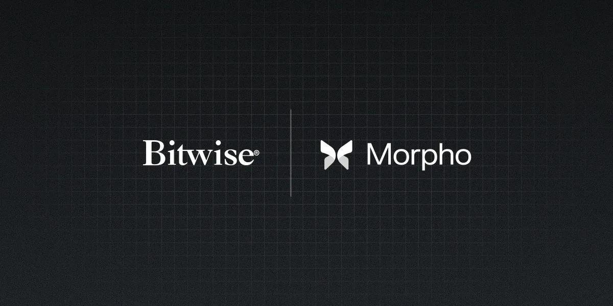 Bitwise lança cofre na cadeia em parceria com Morpho