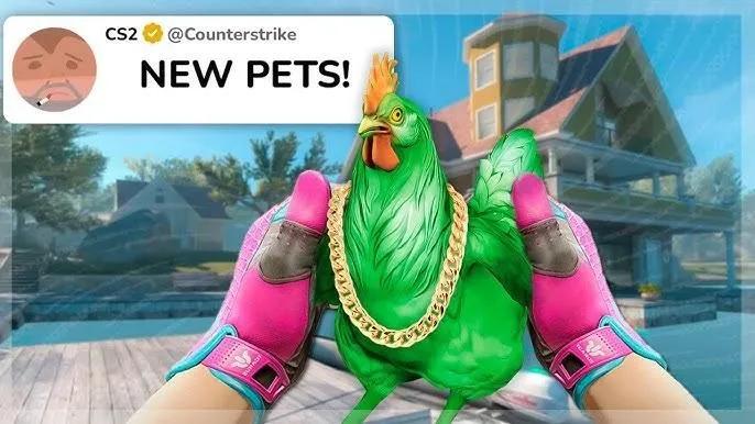 Analistas de dados descobrem novas pistas: animais de estimação podem estar chegando ao CS2.