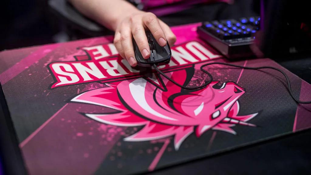 Unicorns of Love abriu uma subdivisão para VALORANT