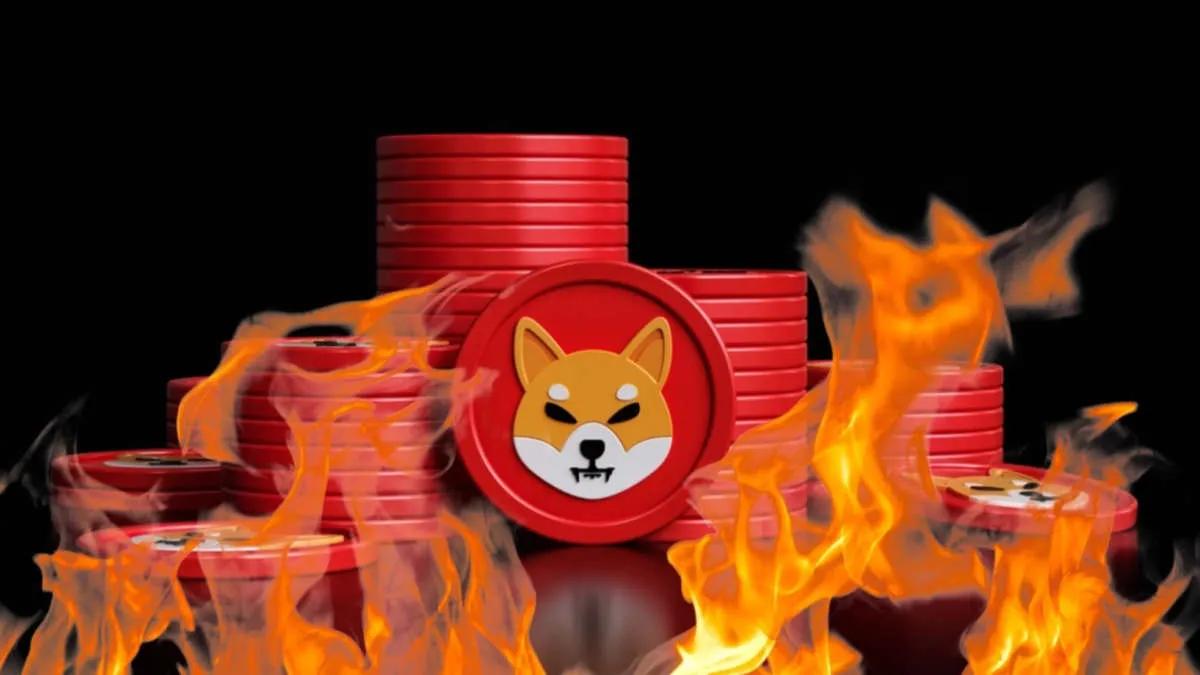 Mais de 48.000.000 Shiba Inu foram queimados nas últimas 24 horas