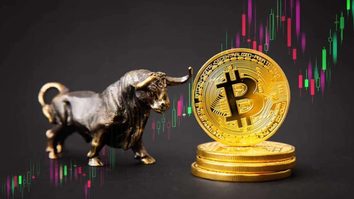 Fundador XOR strategy: "Bullrun BTC começa aqui"