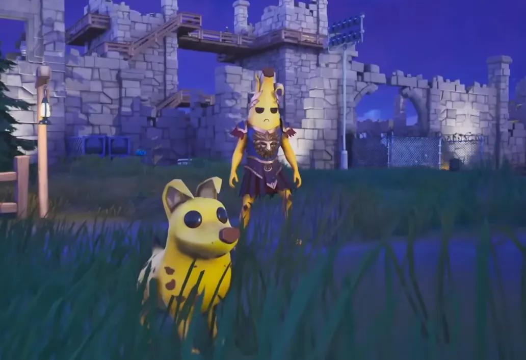 O lançamento dos pets do Fortnite vem com uma regra de personalização única, gerando reações diversas.