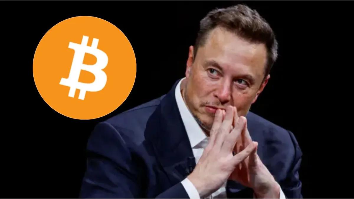 Elon Musk volta a promover o Bitcoin