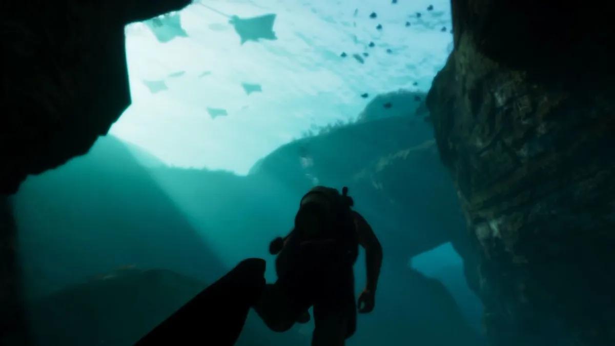 No GTA 6 pode aparecer uma versão própria do Miami Seaquarium