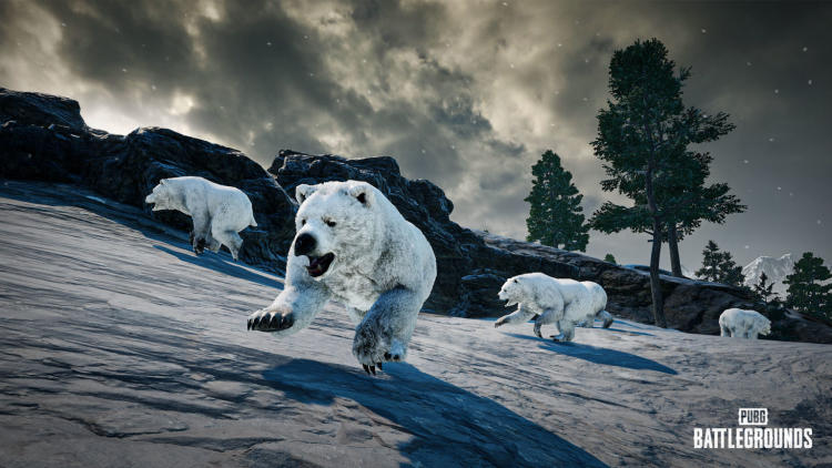 Ursos polares, uma nova mira e equilíbrio de armas atualizado são o changelog do patch 22.1 do PUBG. Foto 1