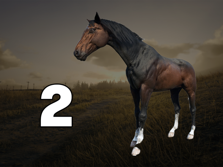 Os 10 melhores cavalos de Red Dead Redemption 2, classificados por desempenho 9